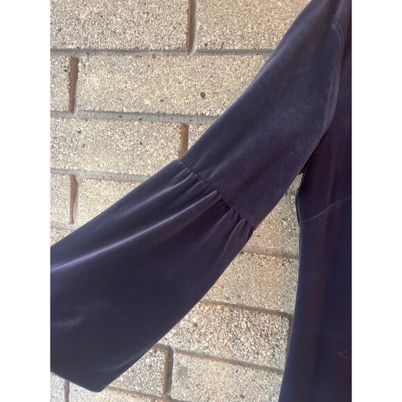Ann Taylor Velvel Dress Sz M-Tall - Picture 1 of 8